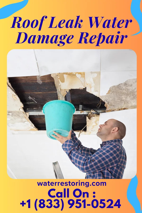 Roof Leak Water Damage Repair in Prague, NE